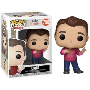 Cam